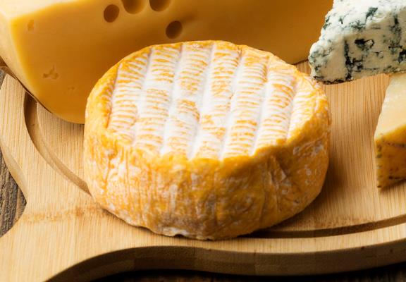 close up variety gourmet cheese ready be served - Правила подачи сыров