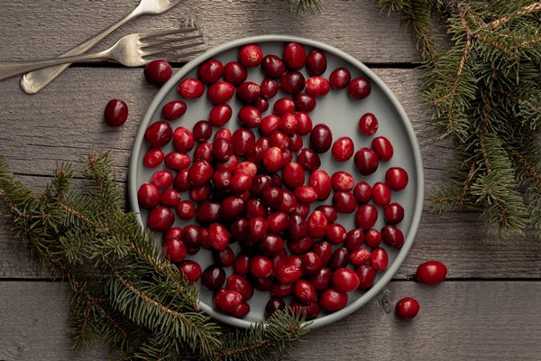 flat lay of plate of cranberries with pine and forks - Суп из клюквы и яблок со сметаной