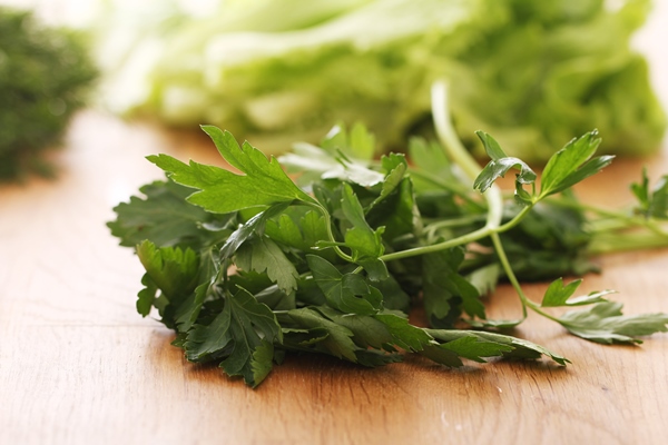 fresh green parsley - Чанахи