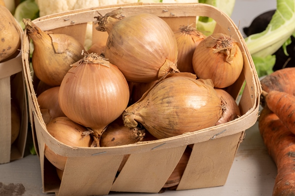 fresh onions ripe onions onions in market - Лапшевник с мясом