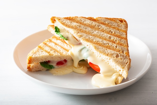 grilled cheese and tomato sandwich on white background - Правила приготовления бутербродов