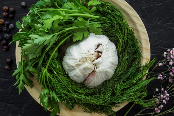modern kitchen composition with healthy ingredients - Салат со сметаной и яйцом под пикантным соусом