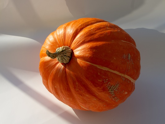 closeup of an isolated pumpkin on a white background - Монастырская кухня: пшённая каша в тыкве, постное печенье на рассоле
