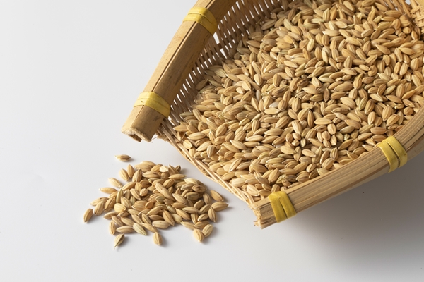 closeup shot of a heap of oats grains - Монастырская кухня: овсяная каша, закуска из баклажанов