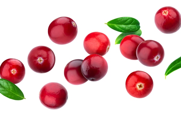 cranberry isolated on white with clipping path - Монастырская кухня: калья и ягодный десерт