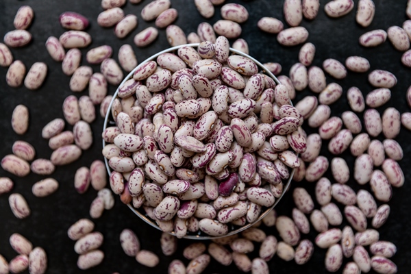 cranberry roman beans in a bowl and around top view - Монастырская кухня: пшённая каша с квашеной капустой, фасолевая лапша