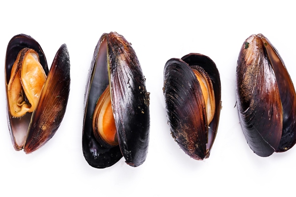 delicious mussels on white - Монастырская кухня: мидии в белом вине, салат из авокадо со спаржей и креветками