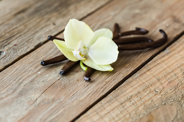 dried vanilla pods and vanilla orchid on wooden table - Сметана, взбитая с сахаром