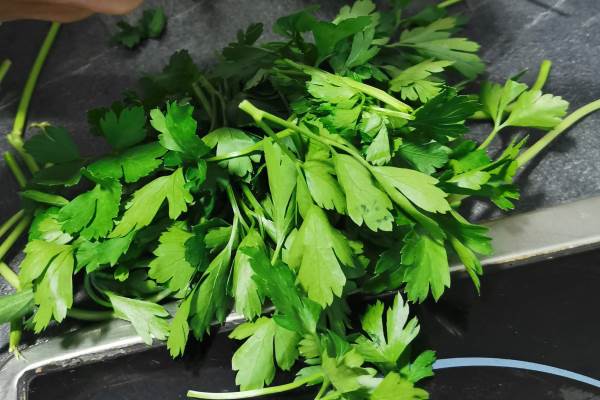 female hands chopped parsley isolated on white - Монастырская кухня: жареная зубатка, запечённое яблоко с орехами