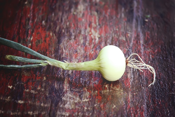 fresh raw peeled onion on the wooden table - Монастырская кухня: овсянка с горошком, томатный суп с фасолью