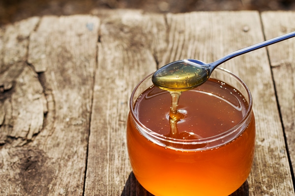 fresh summer honey in a glass jar with a spoon on the wooden table - Постный чиа-пудинг с киви