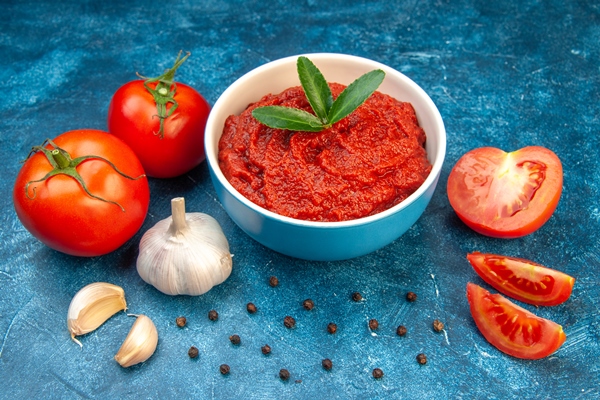 front view fresh tomatoes with tomato paste on blue color salad red tree vegetable food ripe - Запеканка с мясом