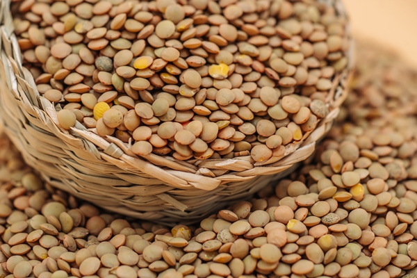 healthy organic dried lentils in a straw basket - Монастырская кухня: рис с чечевицей, яблочный мусс