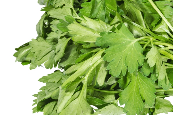 heap of fresh parsley on white - Монастырская кухня: суп из зелени и чинёная репа
