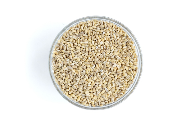 pearl barley in bowl isolated - Монастырская кухня: перловая каша с овощами, паштет из фасоли