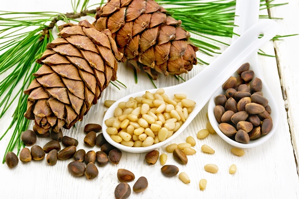 pine nuts in two spoons two cedar cones and green branches on a white wooden board background - Овсянка с хурмой и тыквой без варки