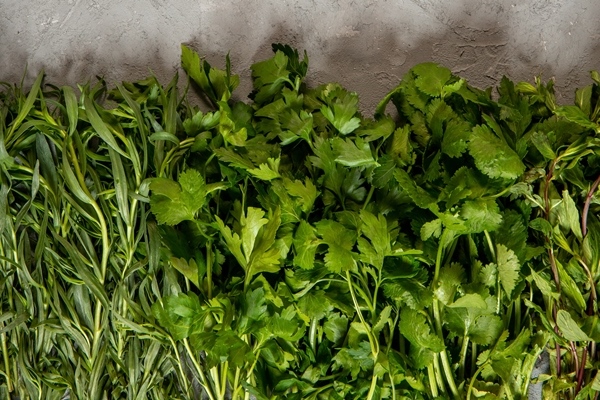 top fresh herbs tarragonnd parsley with copy space on grey - Соус винегрет