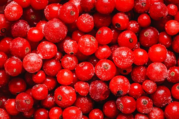 top view cranberries arrangement - Монастырская кухня: манный мусс с клюквой и расстегаи