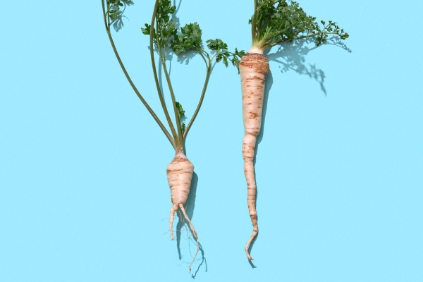 two branches of green parsley with roots - Монастырская кухня: печенье маковое с карамелью, морковный суп-пюре