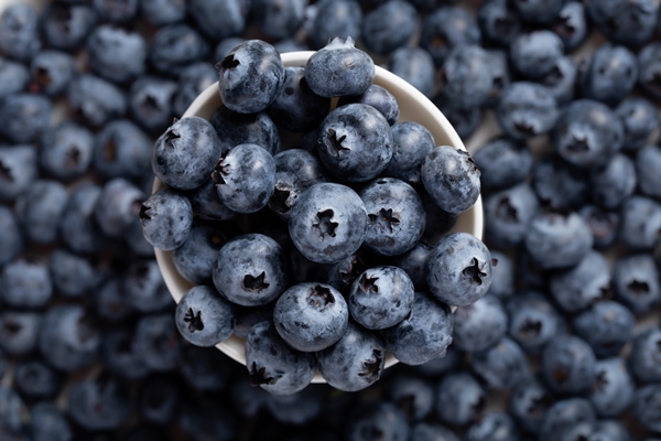 vertical shot of a bowl of blueberries with blueberries in the background - Черничный соус без варки
