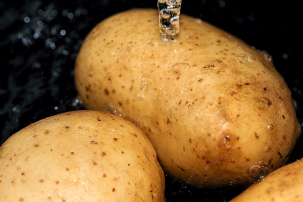young raw potatoes in their skins are washed in clean water before cooking close up macro photography - Монастырская кухня: суп из красной фасоли, драники