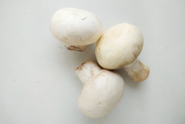 avinash kumar 5srevsfexcs unsplash - Голубцы с грибами и яйцом