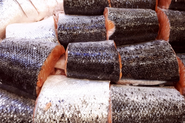group of salmon piecees closeup salmon pieces texture frozen cut salmon fresh raw salmon - Рыба отварная с чесночным соусом