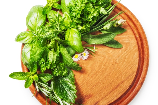 herbs on cutting board fresh basil parsley sage peppermint and rosemary bunch - Окунь в томатном соусе с овощами
