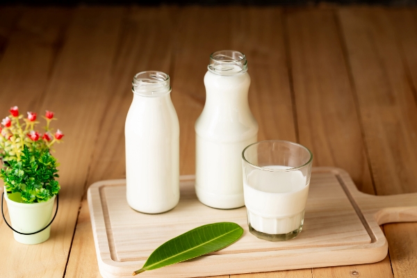 milk healthy dairy products on table - Суп овсяный протёртый на молоке с яйцом