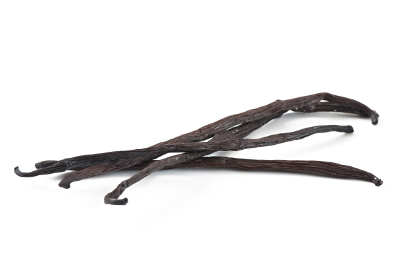 sticks of vanilla isolated 1 - Пастьера
