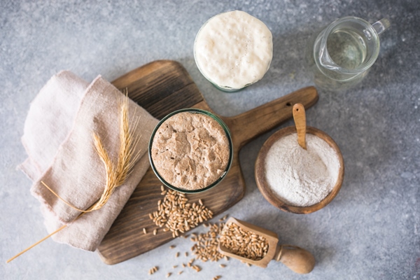 the rye and wheat leaven for bread is active starter sourdough fermented mixture of water and flour to use as leaven for bread baking the concept of a healthy die - Жаворонки постные ванильные