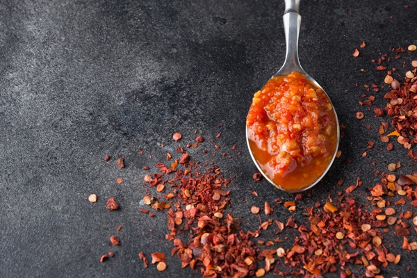 traditional adjika hot chili pepper sauce paste harissa spoon black tunisia georgian arabic cuisine - Лечебный стол (диета) № 3 по Певзнеру: таблица продуктов и режим питания