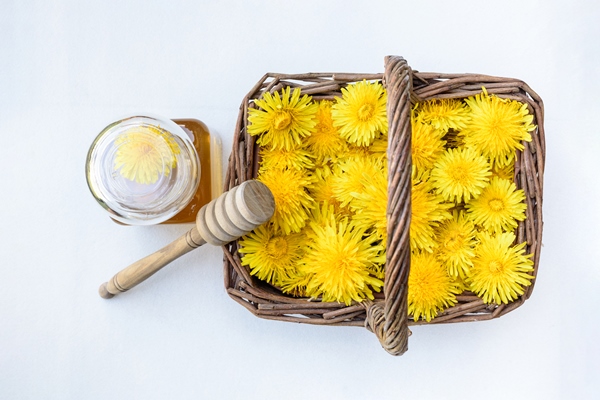 dandelion flowers in a wicker basket on white background directly above shot - Варенье (мёд) из одуванчиков