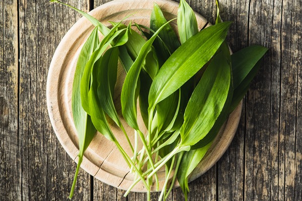 green ramsons leaves wild garlic on old wooden table top view - Салатный соус из черемши