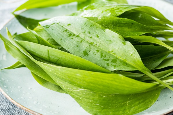 green ramsons leaves wild garlic on plate - Жареная черемша