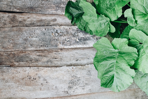 leaves of a large burdock on a wooden background medicinal herbs 1 - Голубцы из лопуха овощные