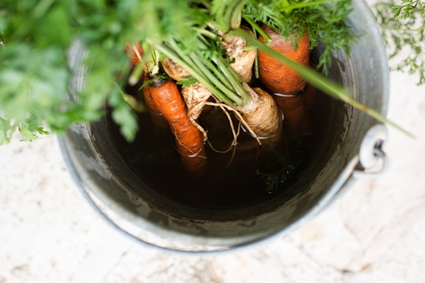 top view carrots in a grey bucket 1 - Голубцы из лопуха овощные