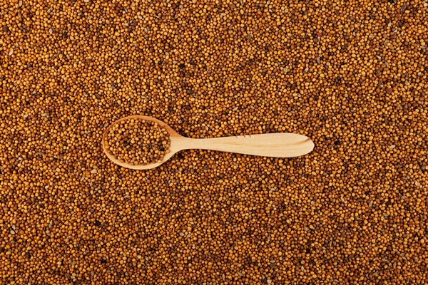 white mustard seeds and spoon top view mustard seeds have fungicidal and bactericidal properties - Солёный арбуз