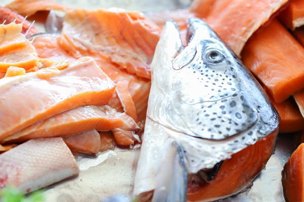 fresh sliced salmon fish to cook - Донские щи с рыбой