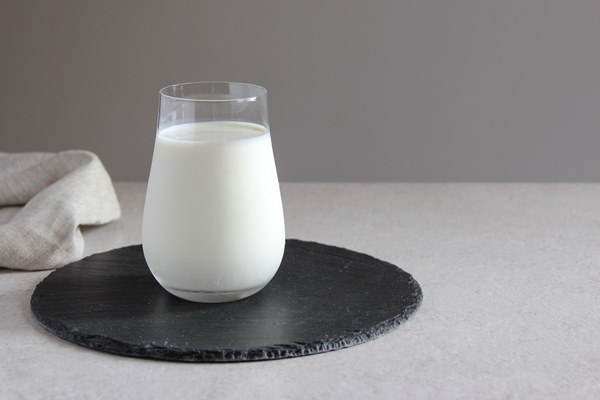 milk on the table vegan or vegetarian milk vegetables milk - Напиток из семечек подсолнечника