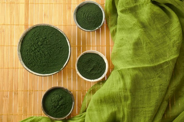 spirulina seaweed spirulina powder in ceramic cups - Съедобные водоросли