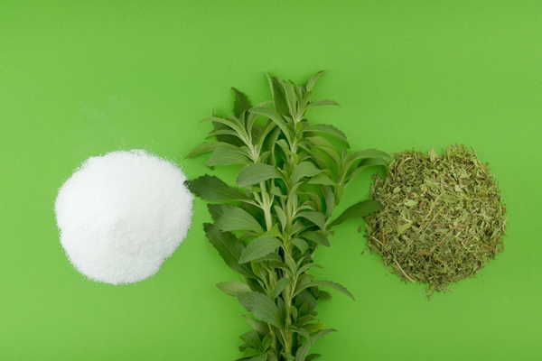 stevia rebaudiana stevia fresh herb twigs dry shredded stevia and white powder on bright green - Салат суномоно с вакамэ, постный стол
