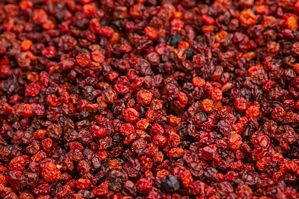 dried cranberries the flavors of taiga altai dried berries at a rural fair - Ягодная холодная приправа