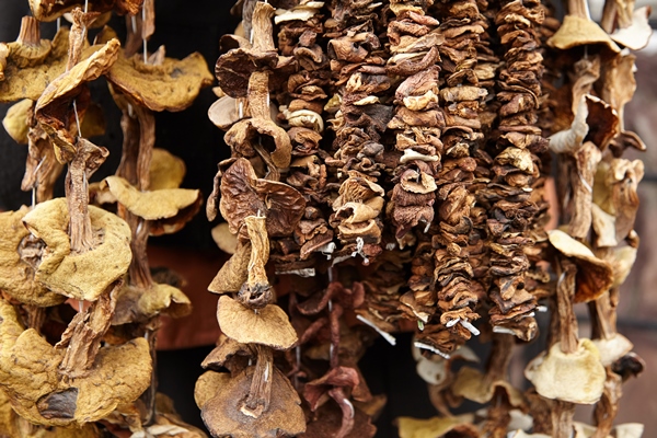 dried mushrooms hanging on a string closeup - Рыба по-царски в горшочке