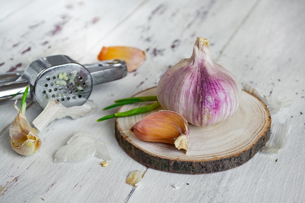 garlic and garlic press - Французский соус эйоль (провансаль)