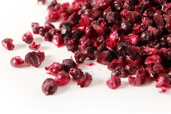 freeze dried granulated blackberry fruit - Консервирование пищевых продуктов