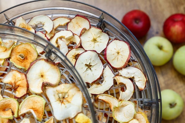 fresh dryed apple chips prepared in a home fruit and vegetable dryer healthy food concept - Консервирование пищевых продуктов