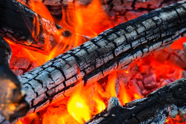 campfire close up shot - Печёный на углях картофель с начинкой