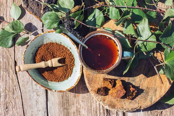 chaga tea a strong antioxidant boosts immune system healthy pure natural wild chaga mushroom making - Морковный чай с чагой