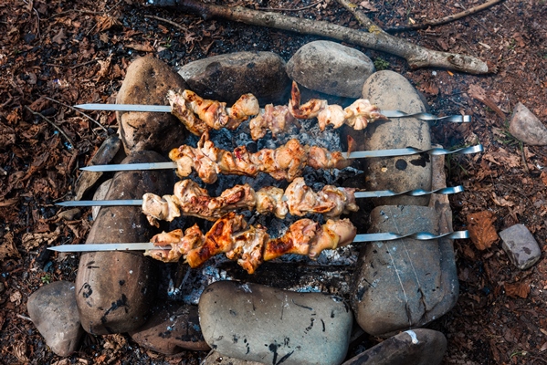 chicken shish kebab at the stake - Рецепты выживания в лесу